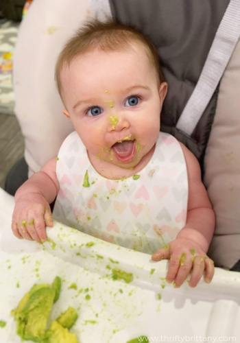 Baby Led Weaning