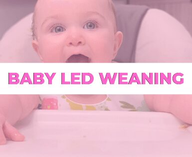 Baby-Led Weaning Banner