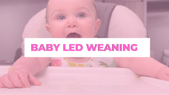 Baby-Led Weaning Banner