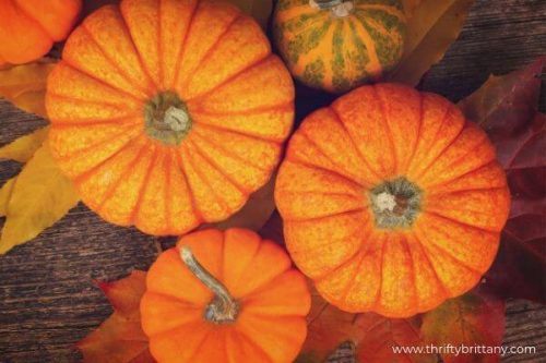Pumpkin Patch Fall Bucket List