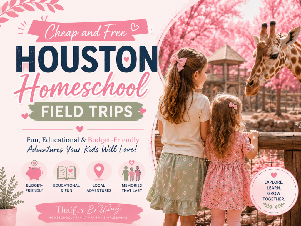 16 Cheap and Free Houston Homeschool Field Trips and Things To Do with Kids